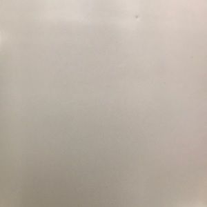 Meet your Posher, Will